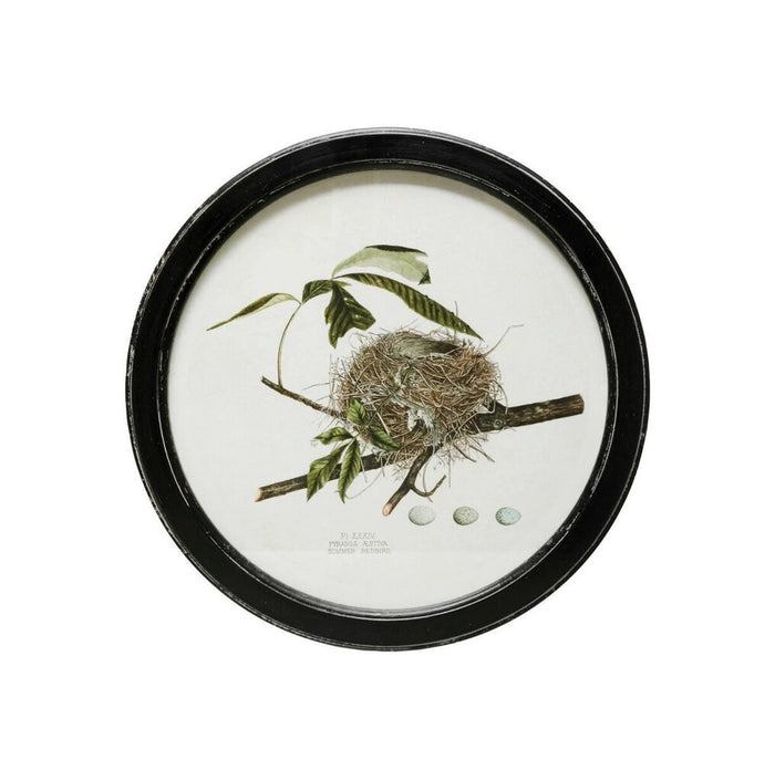Framed Wall Decor with Nest Print, Summer Redbird