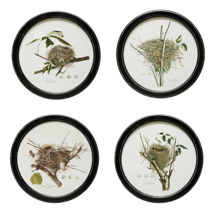 Framed Wall Decor with Nest Print, Summer Redbird