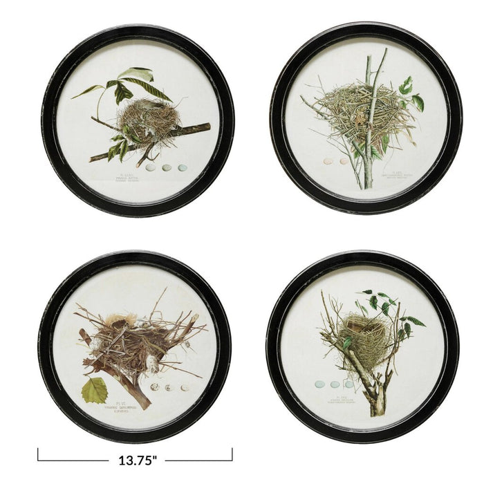 Framed Wall Decor with Nest Print, Summer Redbird