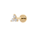Gold Lapse Earring Earrings