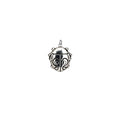Oxidized Silver Ladybug Charm