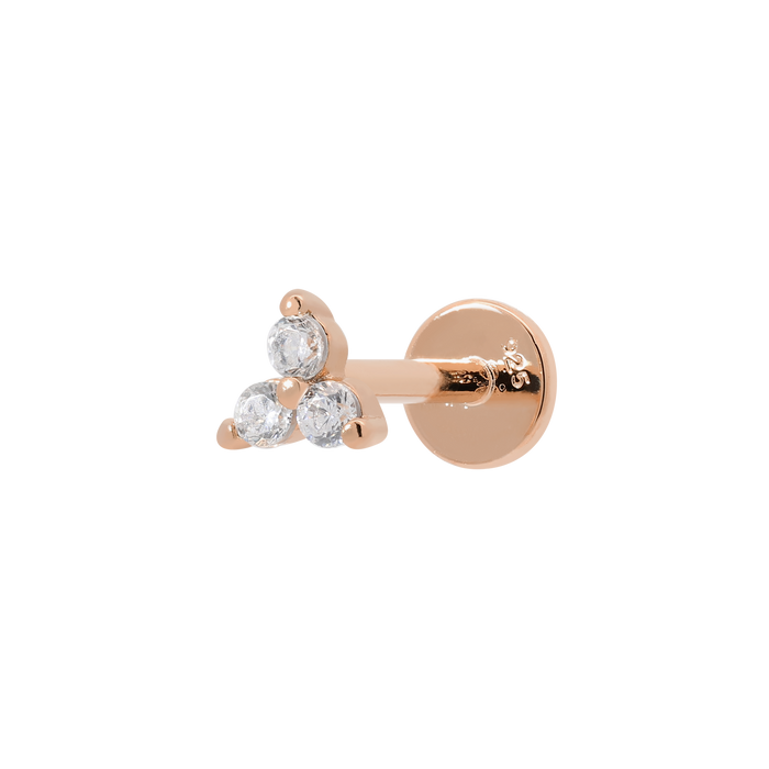 Rose Gold Lapse Earring Earrings