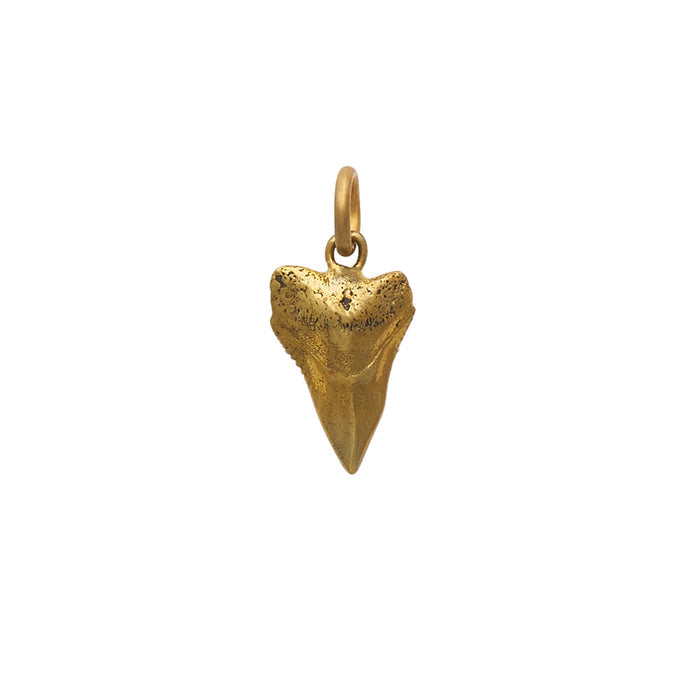 Singular Tooth Pendant