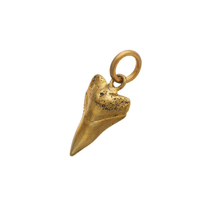 Singular Tooth Pendant