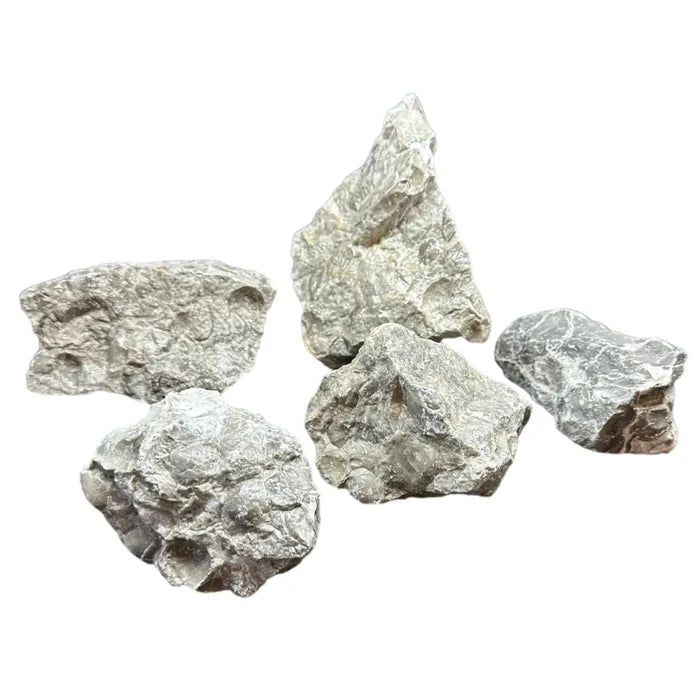 Five irregularly shaped Sunk Jade Rock metallic pieces with rough texture